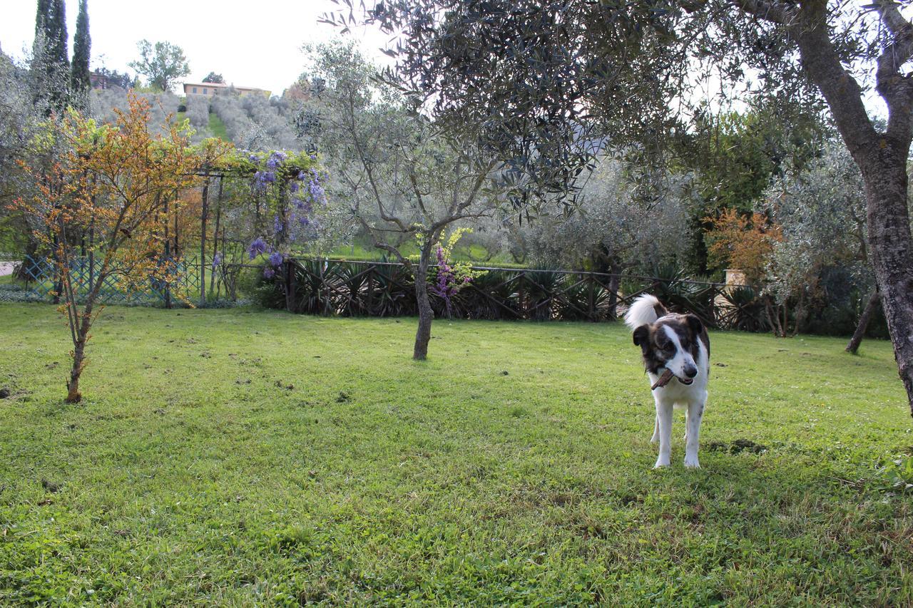 Agriturismo La Fonte Bevagna Extérieur photo